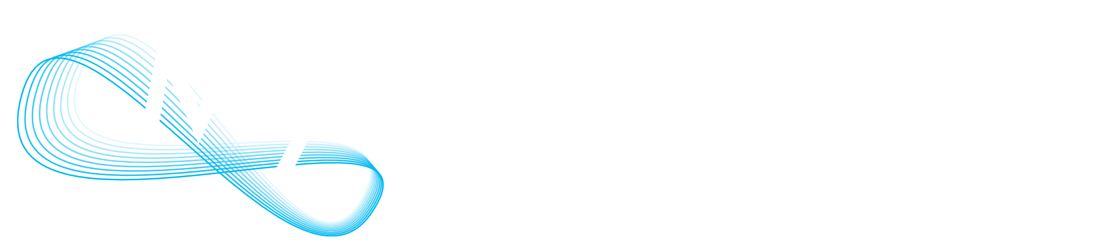 MyIpSupport Logo